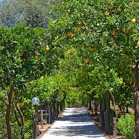 Oriana Relais Bed & Breakfast