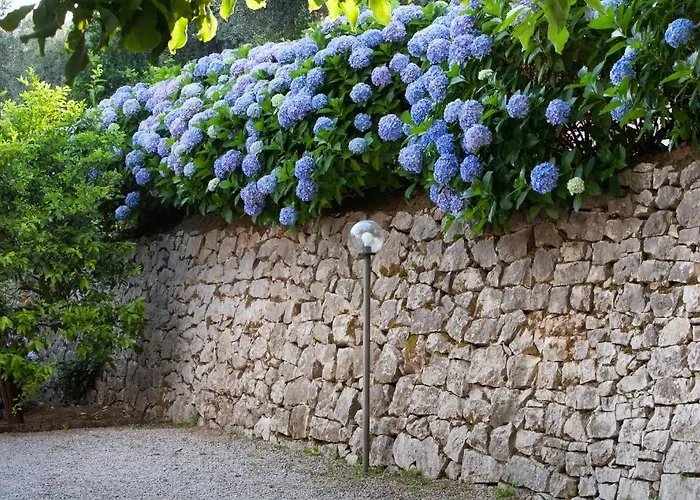 Oriana Relais Sorrento