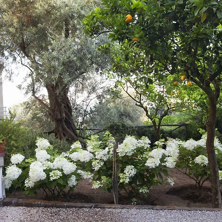 Bed & Breakfast Oriana Relais