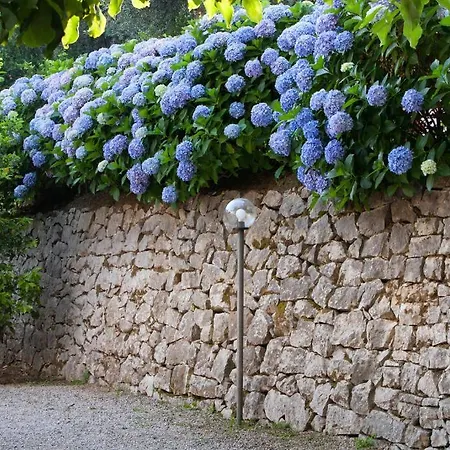 Oriana Relais Sorrento