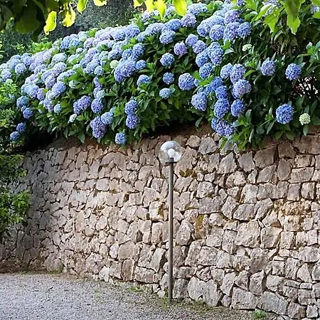 Oriana Relais Bed & Breakfast 4*