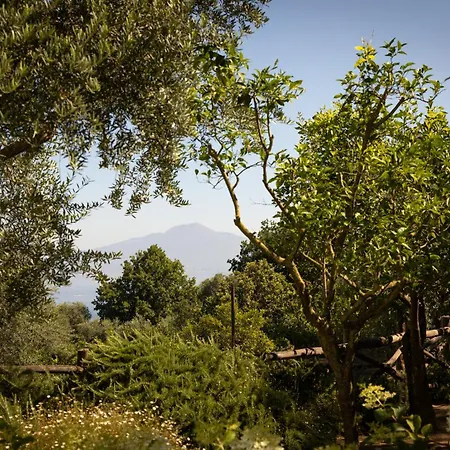 Oriana Relais Bed & Breakfast Sorrento