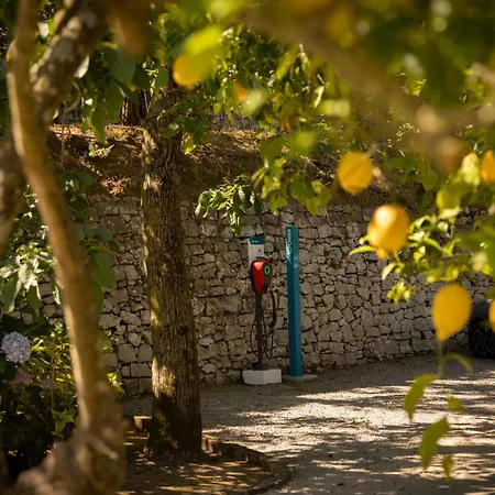 Oriana Relais Bed & Breakfast Sorrento