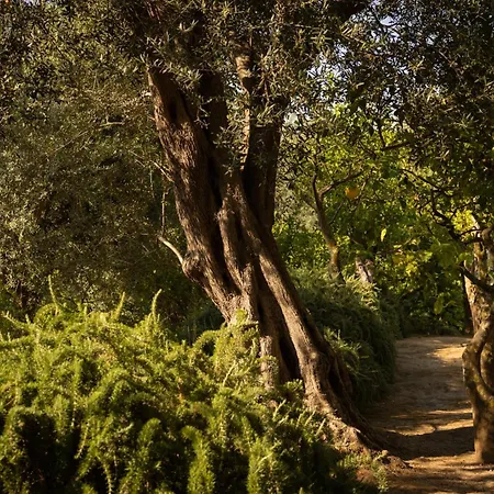 Oriana Relais Bed & Breakfast