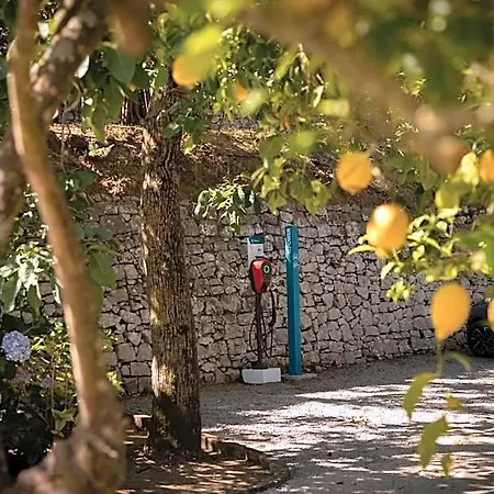 Oriana Relais Bed & Breakfast Sorrento