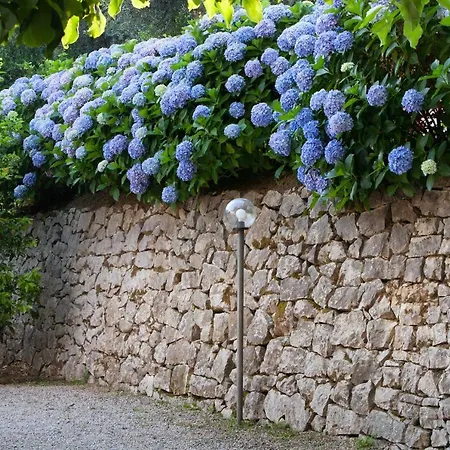 Bed & Breakfast Oriana Relais