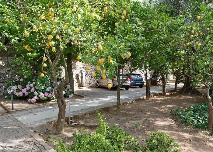 Oriana Relais Bed & Breakfast Sorrento