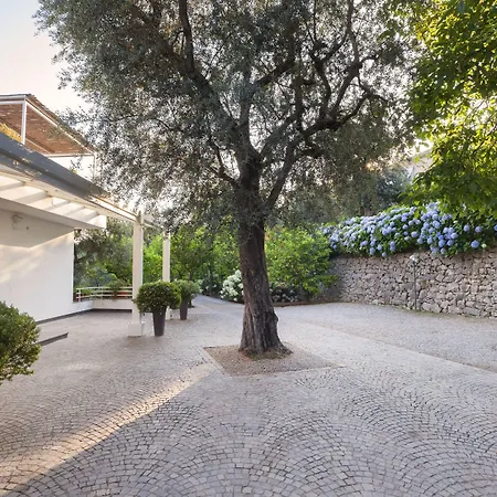 欧瑞安娜黎莱斯别墅酒店 索伦托